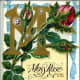 Moss rose vintage flower card