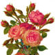 Vintage pink roses in ornate vase clip art