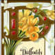 Daffodils vintage flower card