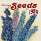Deposit Seed Co. vintage seed packet image -- 1929