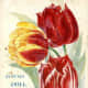 D.M. Ferry & Co. vintage seed packet clip art -- 1894