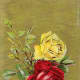 Vintage yellow and red rose image on a gold background clipart