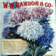 W.W. Rawson &amp; Co. antique seed packet artwork -- 1899