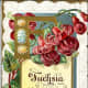 Fuschia vintage flower card