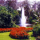 photos-of-the-beautiful-cypress-gardens-in-florida