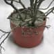 Fill pot with cement mixture