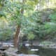 mccormicks-creek-state-park