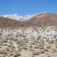 This fault scarp formed in the 1872 Owens Valley earthquake- Photo courtesy Ron Schott of Flickr under Creative Commons license