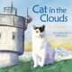 Cat in the Clouds by Eric Pinder (Image is from booksamillion.com.)