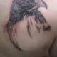 hawk-tattoos-and-meanings-hawk-tattoo-designs-and-ideas-hawk-tattoo-pictures