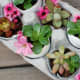 Succulent eggshell arrangement