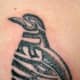 penguin-tattoos-and-designs-penguin-tattoo-meanings-and-ideas-penguin-tattoo-pictures