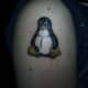 penguin-tattoos-and-designs-penguin-tattoo-meanings-and-ideas-penguin-tattoo-pictures