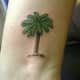 palm-tree-tattoos-and-designs-palm-tree-tattoo-meanings-and-ideas-palm-tree-tattoo-pictures