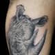 rhino-tattoos-and-designs-rhino-tattoo-meanings-and-ideas-rhino-tattoo-pictures