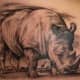 rhino-tattoos-and-designs-rhino-tattoo-meanings-and-ideas-rhino-tattoo-pictures