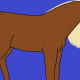 Conformation: The whole horse, muscle tone, head position, legs, back, etc.