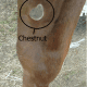Chestnut on front inside of legs.