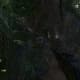 Archaeology 101 - Gameplay 04: Far Cry 3 Relic 3, Spider 3.
