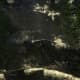 Archaeology 101 - Gameplay 01: Far Cry 3 Relic 83, Boar 23.