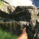Archaeology 101 - Gameplay 02: Far Cry 3 Relic 113, Heron 23.
