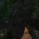 Archaeology 101 - Gameplay 03: Far Cry 3 Relic 3, Spider 3.