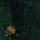 Archaeology 101 - Gameplay 03: Far Cry 3 Relic 1, Spider 1.