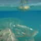 Archaeology 101 - Gameplay 03: Far Cry 3 Relic 31, Shark 1.