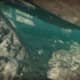 Archaeology 101 - Gameplay 04: Far Cry 3 Relic 31, Shark 1.