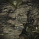 Archaeology 101 - Gameplay 05: Far Cry 3 Relic 70, Boar 10.