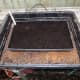 Seeds sown in heated propagator.