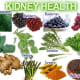 Foods that are good for kidney disease