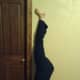 Half way up wall split
