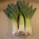 There are many health benefits in eating a diet which includes leeks and fennel bulb.