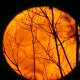 Full moon on Halloween