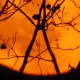Full moon on Halloween