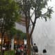 Immersion Garden at Level B2