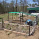 Vege gardens