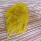 Place small amounts of the cooked squash onto a clean dishtowel.
