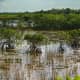 Everglades National Park, Florida