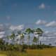 Everglades National Park, Florida