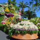 Flower Parade 2019