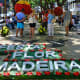madeiramyway