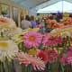 Flower Festivities 2019