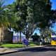 Avenida do Mar, Funchal
