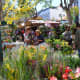 Flower Festivities street market 2019