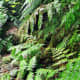 madeiramyway