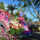 Flower Parade 2019