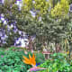 madeiramyway