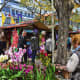 Flower Festivities street Market 2019